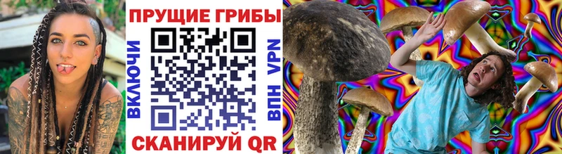 Псилоцибиновые грибы прущие грибы KRAKEN зеркало Великий Новгород